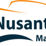 NMN Logo