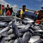 Sederet Masalah di Laut Indonesia, dari Illegal Fishing hingga Perlindungan Nelayan Kecil