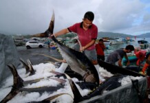 Kebijakan Perikanan Tangkap, Pengaturan untuk Keberlanjutan
