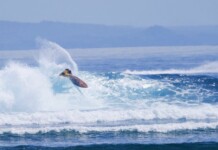 Banyuwangi Tuan Rumah World Surfing League 2022